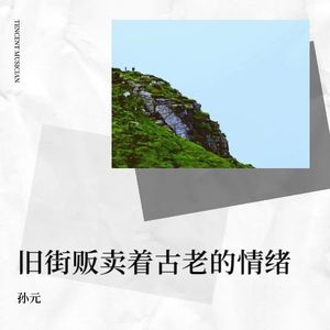 青春的影子封面