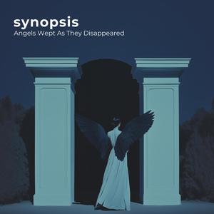 Angels Wept As They Disappeared