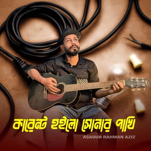 Karent Hoilo Shonar Pakhi