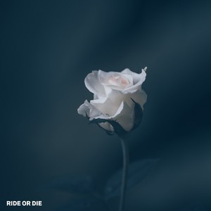 Ride or Die