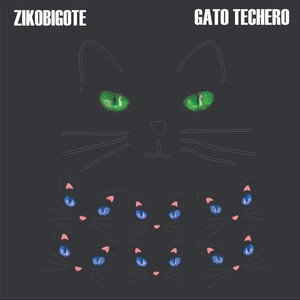 Gato Techero