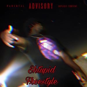 Shtupid Freestyle (Explicit)