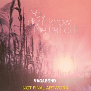 Don't Wanna Run No More