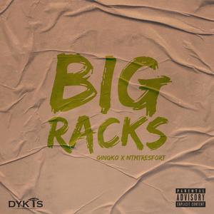 Big Racks (feat. Gingko & NTMTRESFORT) [Explicit]