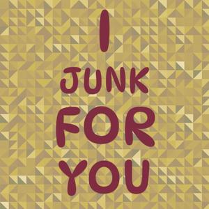 I Junk For You