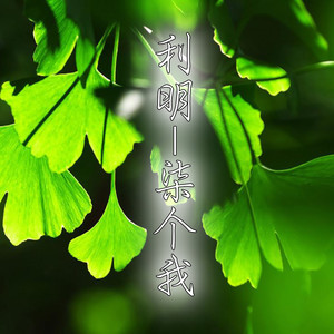 柒个我之崔皓月