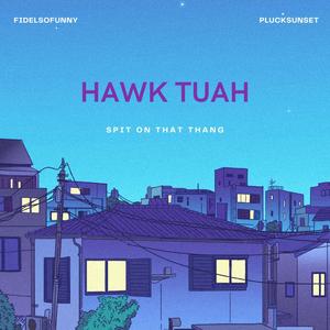 HAWK TUAH (feat. PLUCKSUNSET)