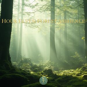 Hour Elven Forest Ambience