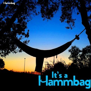 It's a Hammbag