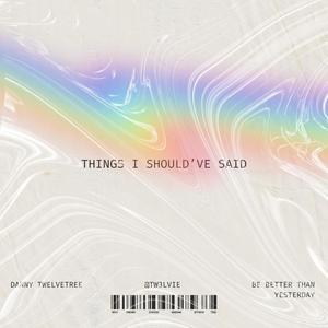 Things I Should've Said (Explicit)