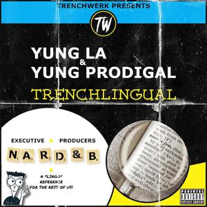 Trenchlingual (Explicit)