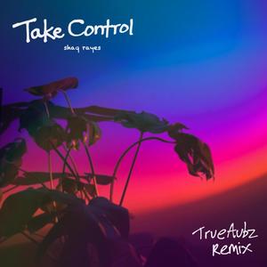 Take Control (feat. TrueAubz) [Remix]