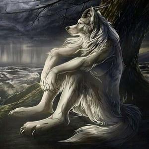 COOLBOY ARC (Explicit)