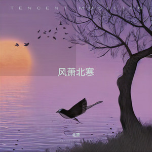 岁月旅途中的回忆与展望