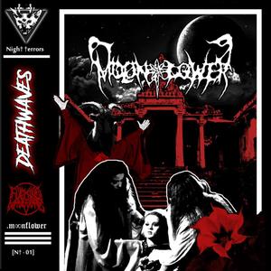 PULL THE PLUG (Explicit)