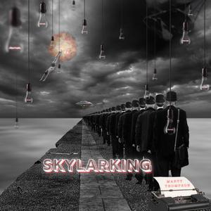 Skylarking