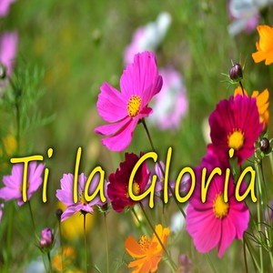 Ti La Gloria