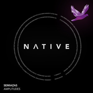 Amplitudes (Original Mix)