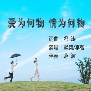 爱为何物 情为何物