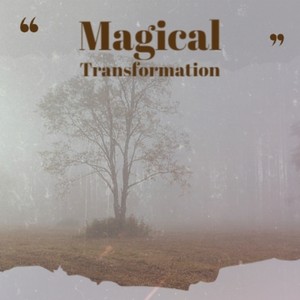 Magical Transformation