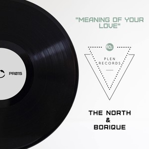 Meaning Of Your Love (Original Mix)