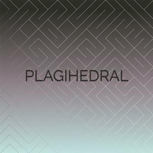 Plagihedral