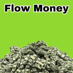 Flow Money