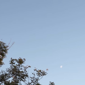 I Think It Must Be Christmas