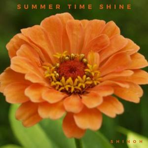 SUMMER TIME SHINE 365 (Explicit)