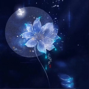 虞美人 · 菉塘河冬作