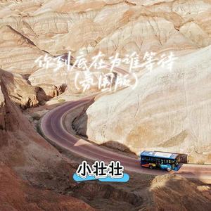 你到底在为谁等待 (氛围版)