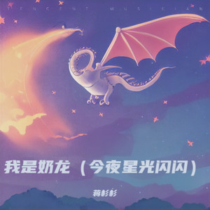我是奶龙DJ（今夜星光闪闪）