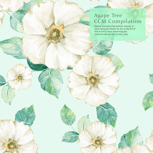 우리의 영원한 안식처