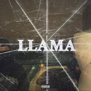 Llama (feat. flakolindo) [Explicit]