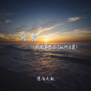 后来（我总算学会了如何去爱）