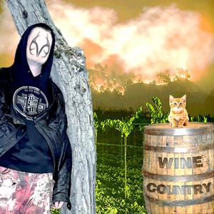 Wine Country (feat. swotl) [Explicit]