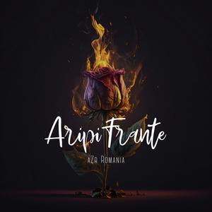 Aripi Frante
