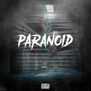 Paranoid (Ambmanman) [Explicit]