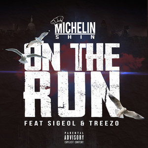 On the Run (feat. Sigeol & Treezo) [Explicit]