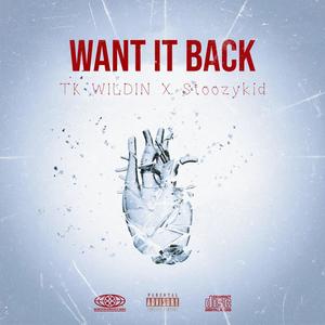 WANT IT BACK (feat. Stoozykid) (Explicit)