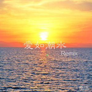 张信哲-爱如潮水remix (南纬 remix)