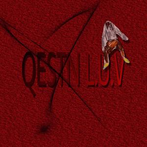 QESTN L.U.V (Explicit)