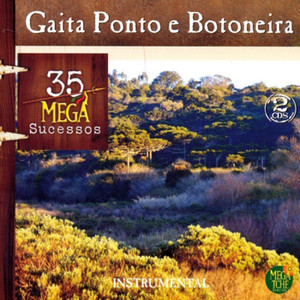 GAITA PONTO E BOTONEIRA - 35 MEGA SUCESSOS