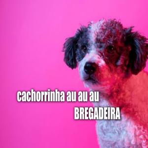 cachorrinha au au au BREGADEIRA (feat. MC KADELÃO)