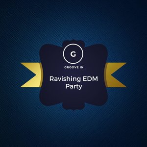 Ravishing EDM Party