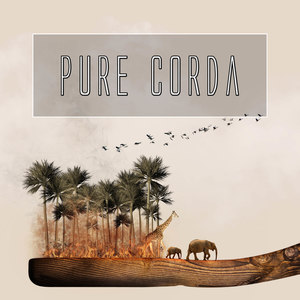 비밀정원 (秘密庭院)