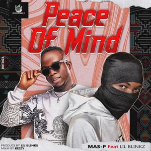 Peace of Mind (feat. Lil Blinkz)