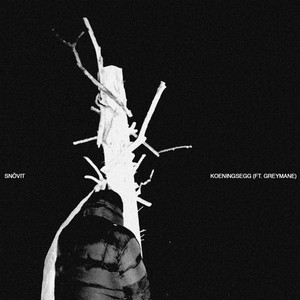 Snövit - koenigsegg