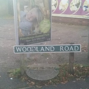 WOODLAND ROAD (Explicit)