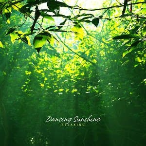 춤추는 햇살 (Dancing sunshine)